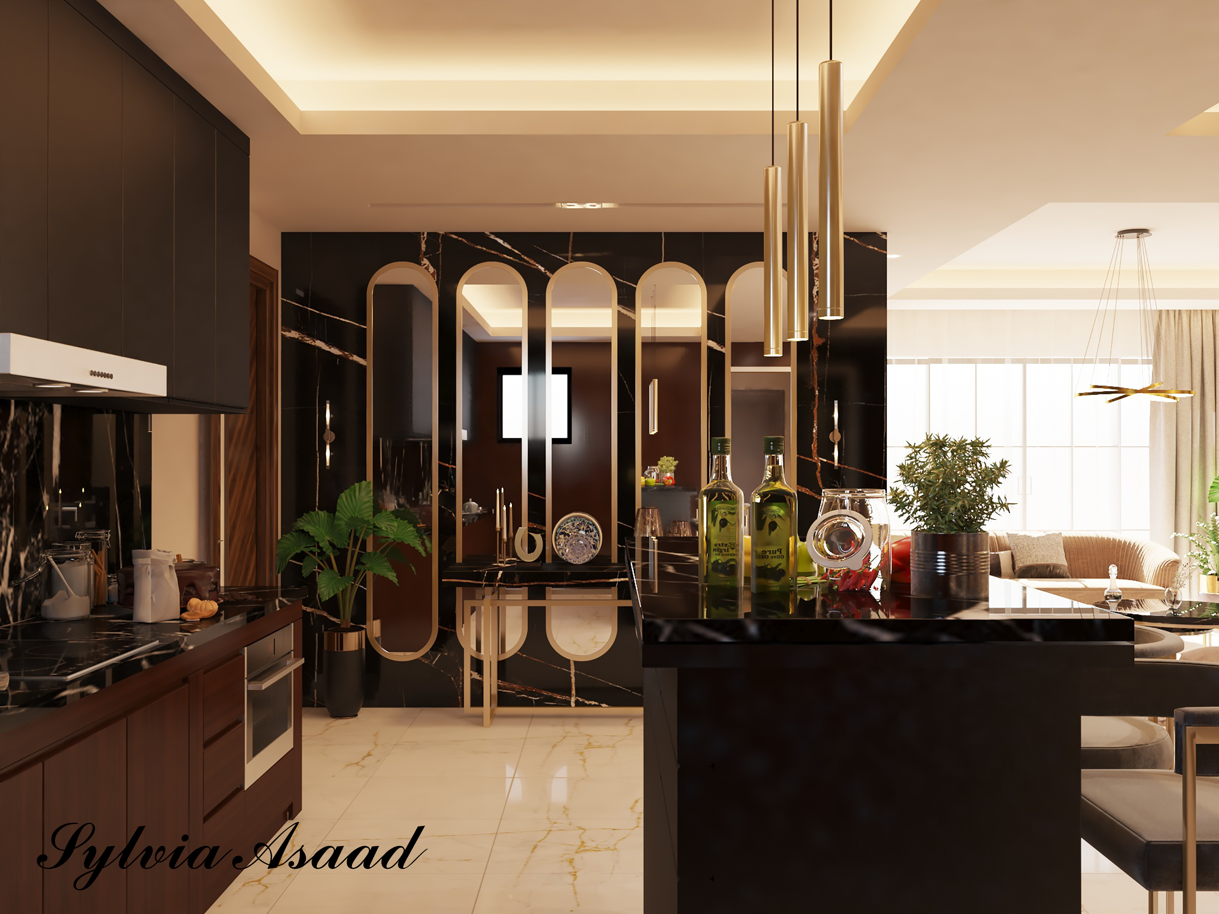 Luxury living , dinning and small kitchen-8