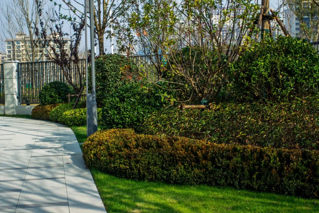 开封亚新·橄榄公馆丨中国开封丨东篱环境-25