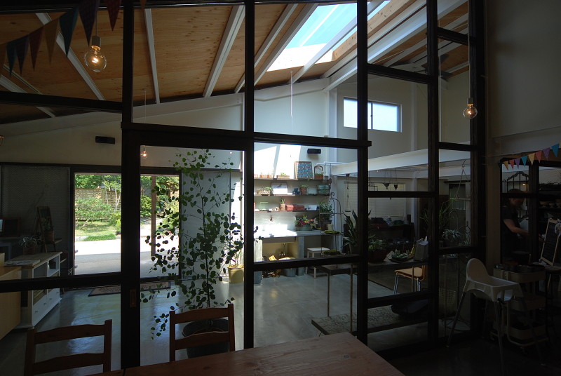 cotyledon #122 多肉植物専門店+カフェ丨日本宫崎丨有限会社COGITE-9