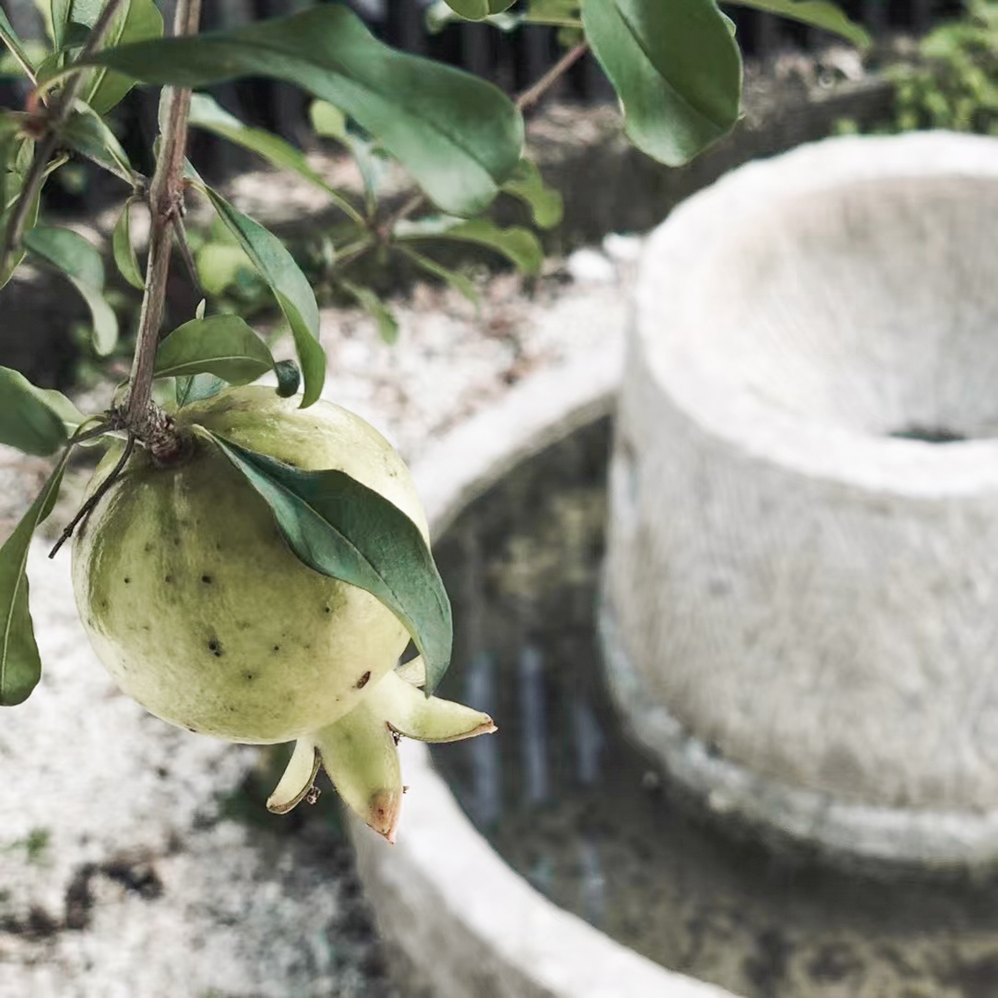 有时茶想丨中国广州丨广州市美林文化传播有限公司-2