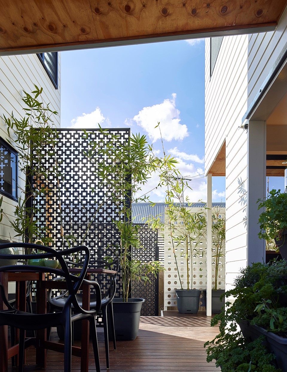 双体住宅，澳大利亚 / Toussaint and Volz-11