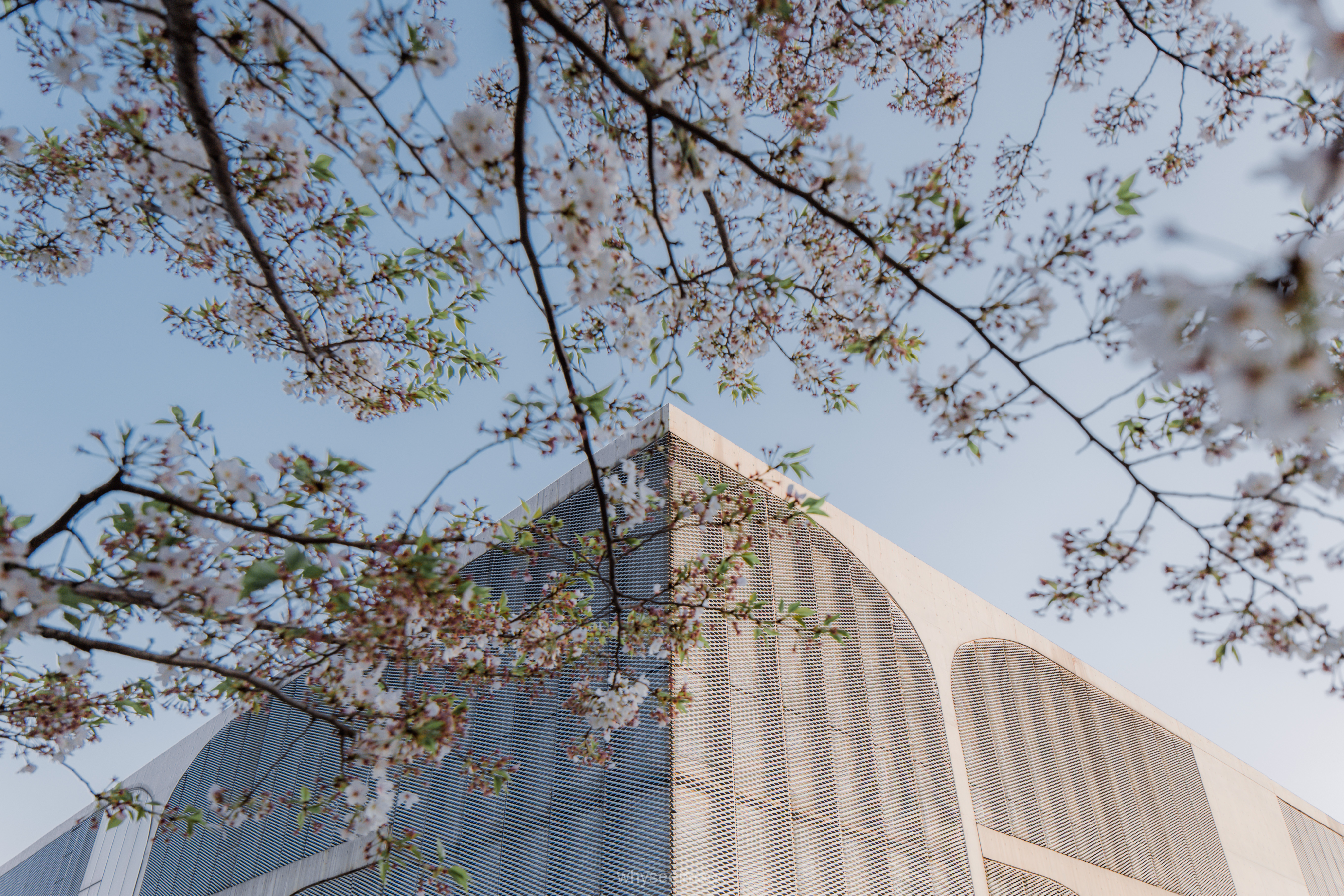 樱花+龙美术馆丨中国上海丨大舍建筑设计工作室-107