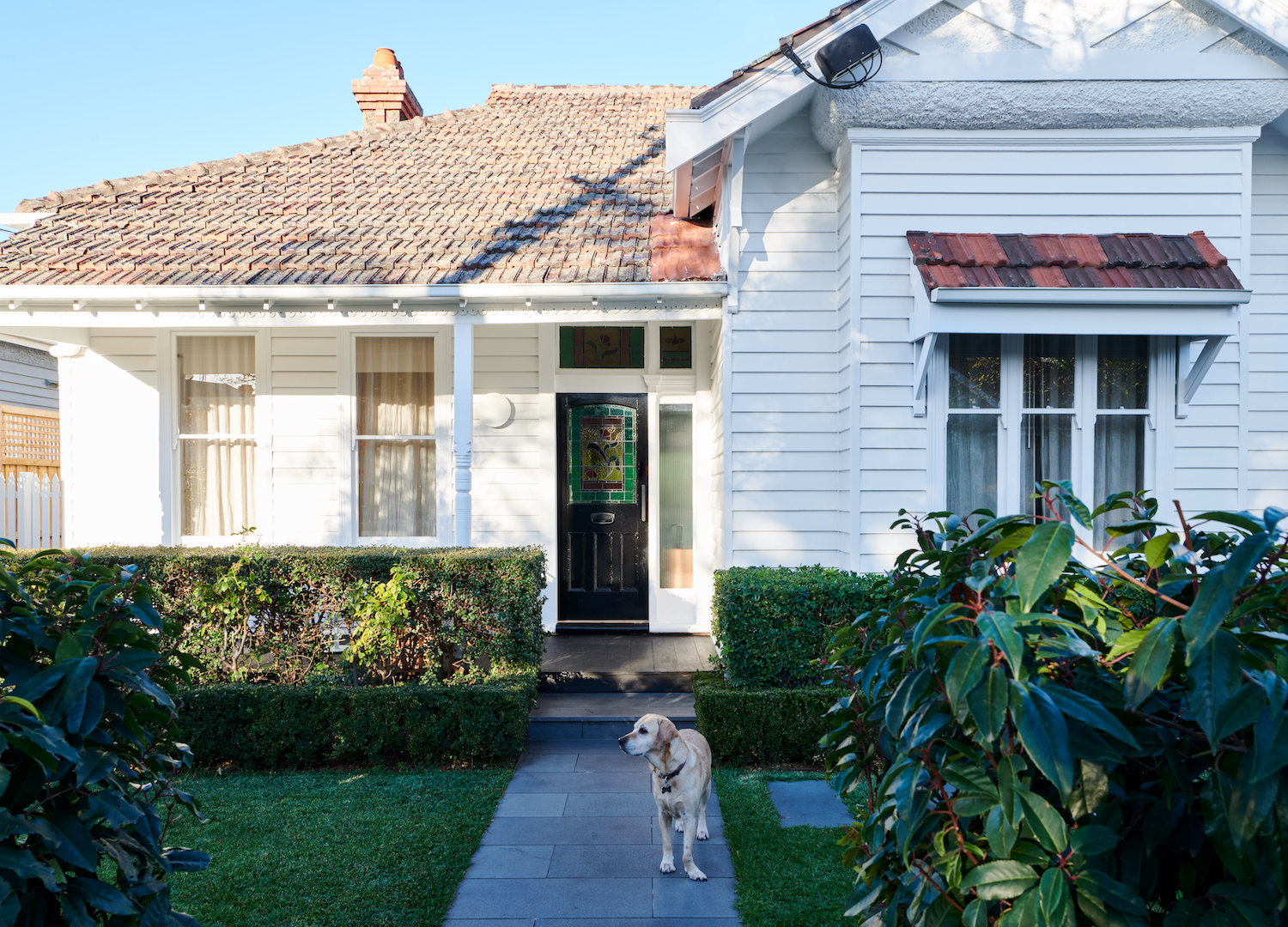 三叶草之家丨澳大利亚墨尔本丨Carole Whiting 团队-14