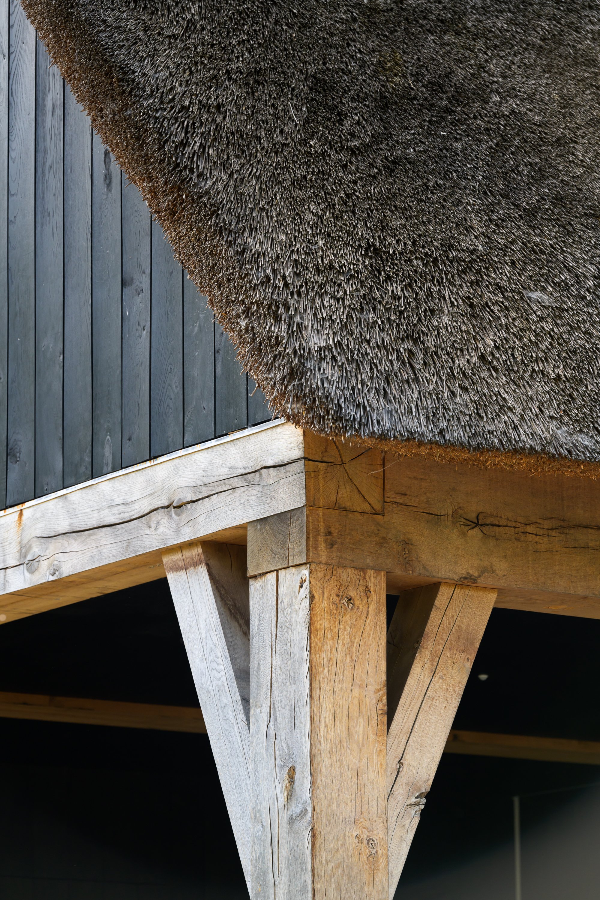 既有住宅带温室,泳池和淋浴墙的扩建项目丨Ai&M bvba-2