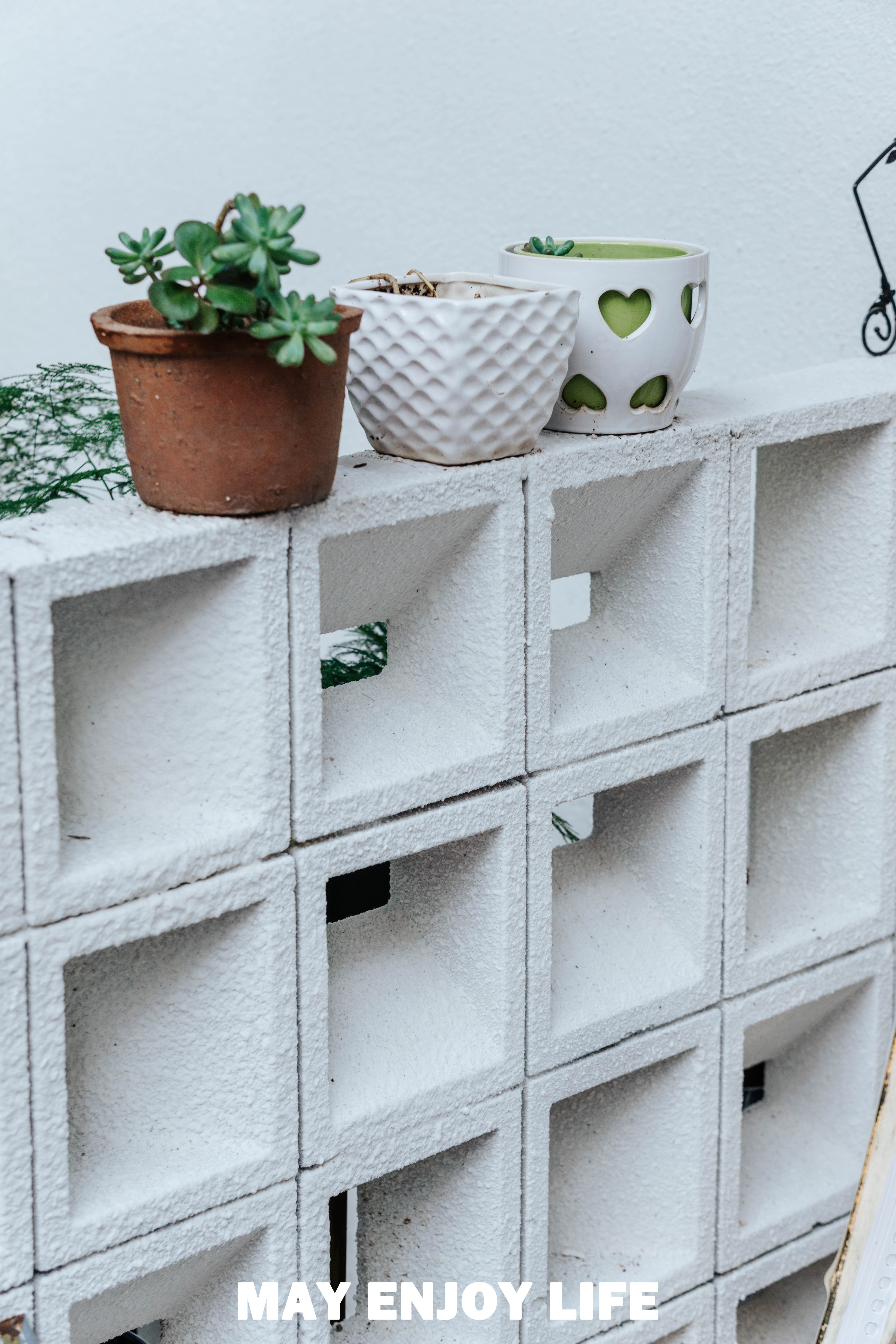 热爱中的家丨MEL 团队-24