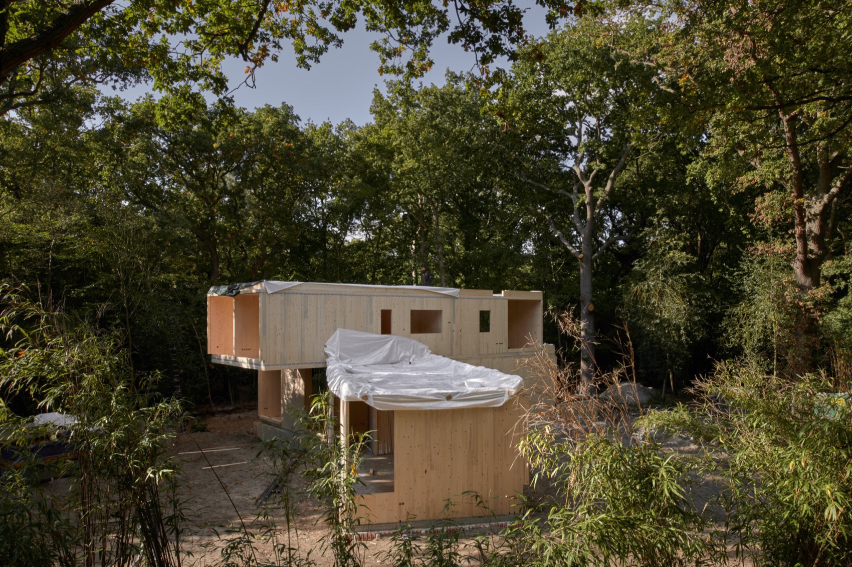 Oostvoorne森林住宅丨荷兰丨Kumiki Architecture-45