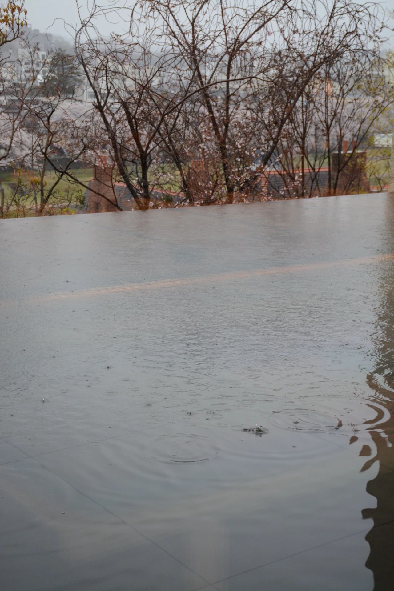谷口吉郎·吉生纪念 金泽建筑馆丨日本丨谷口吉生-31