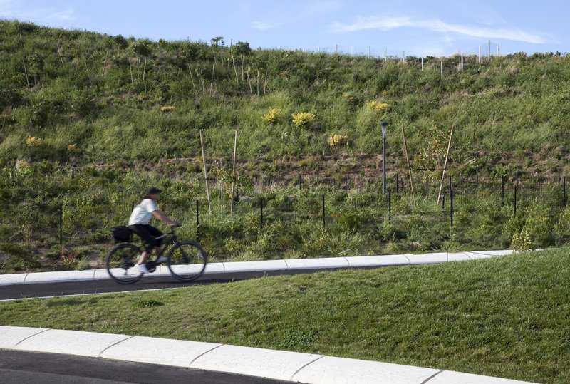 总督岛公园和公共空间总体规划丨美国纽约丨MNLA-14