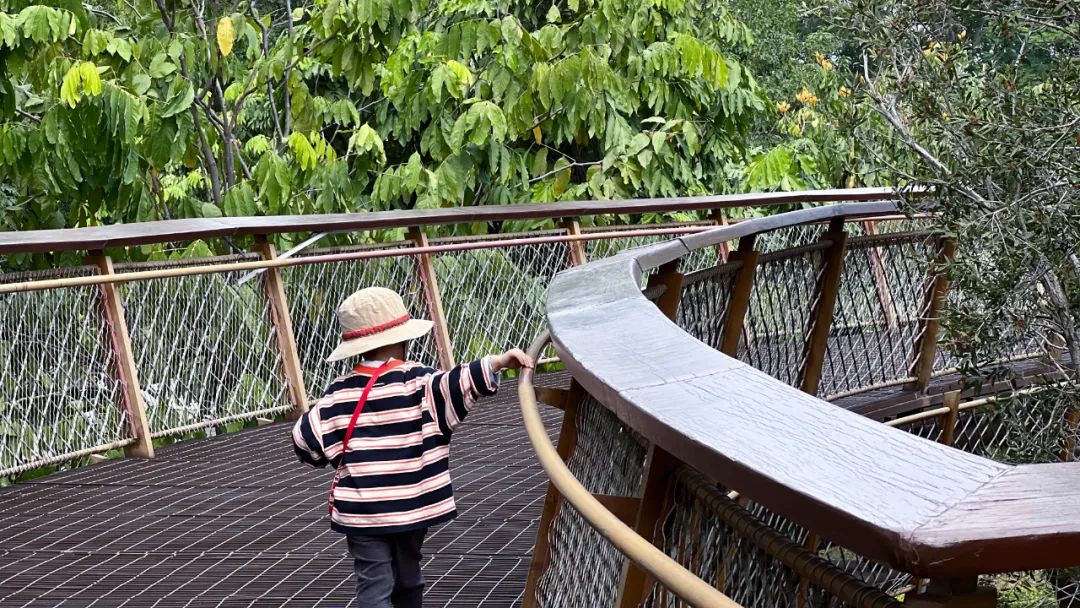 深圳 Citywalk 建筑漫游丨中国深圳丨华阳国际-54