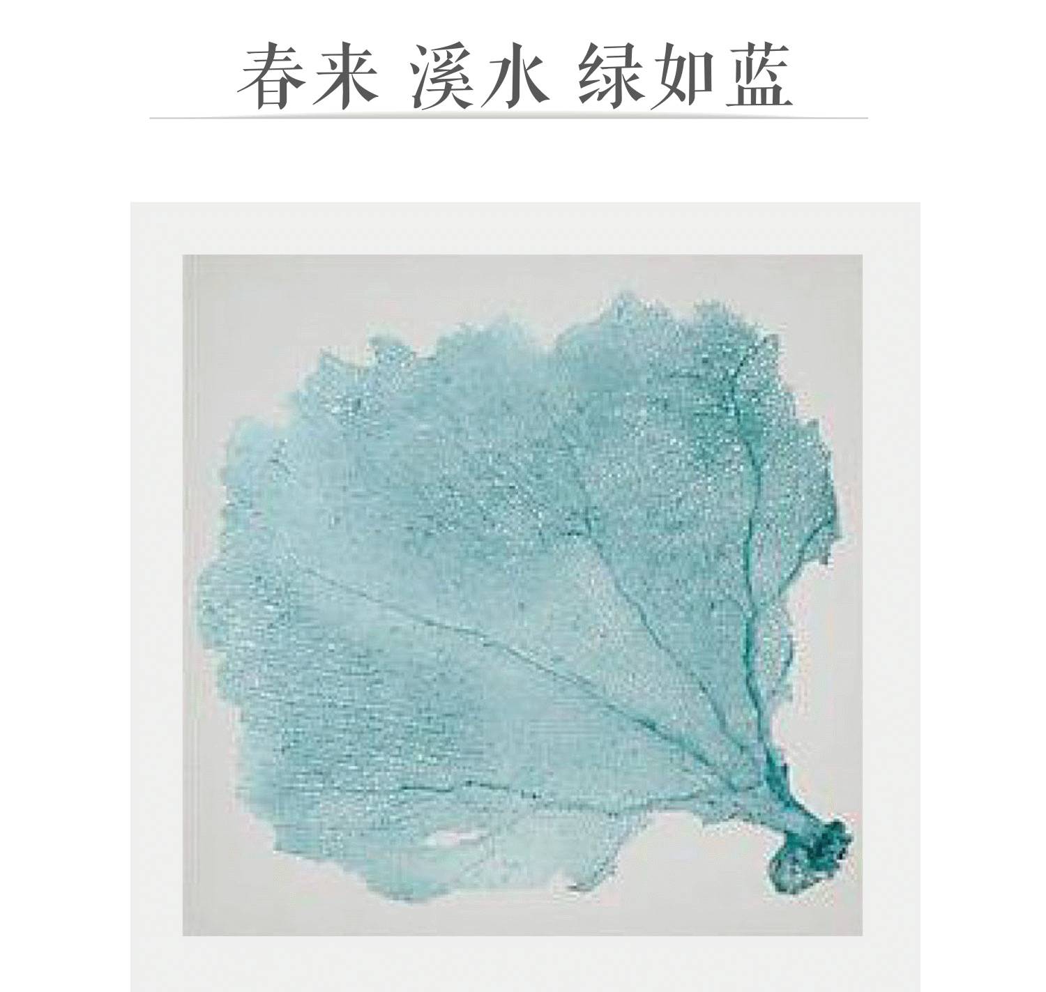 万科安品园舍别墅-81