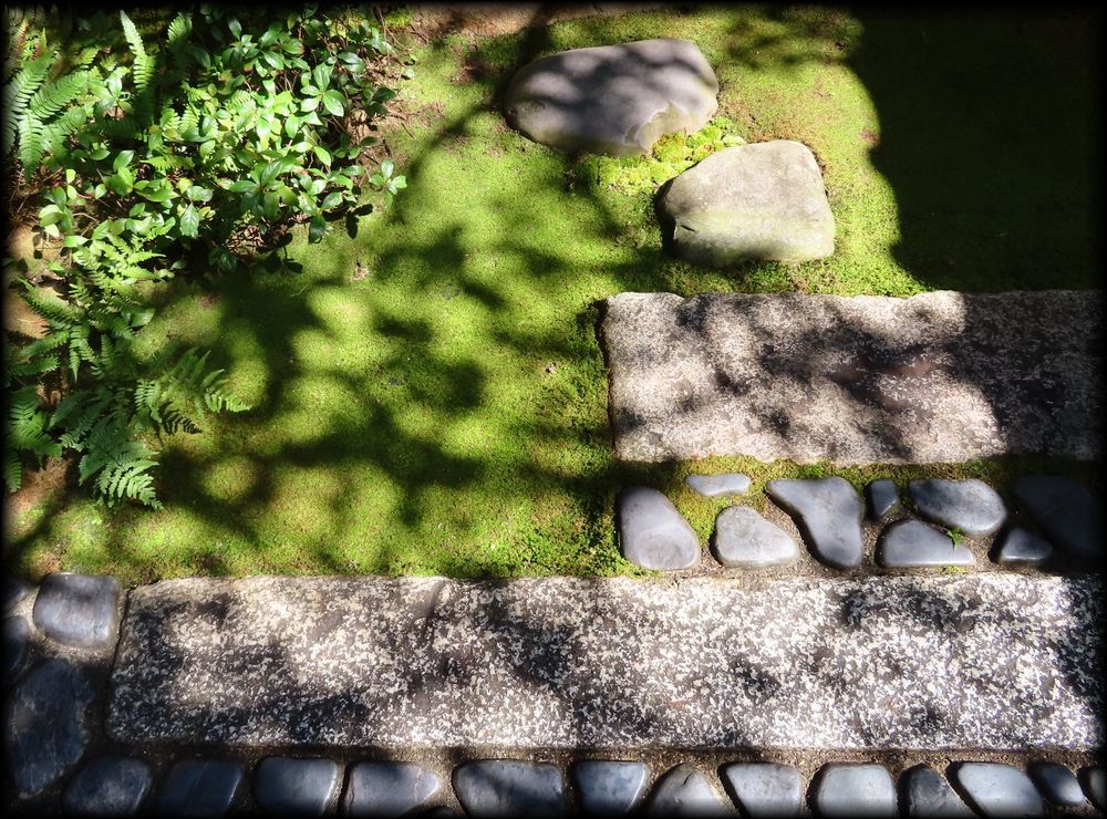 茶寮宝泉（宝泉堂）丨日本京都-13