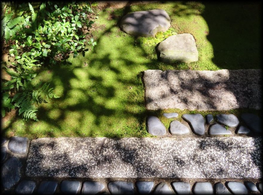 茶寮宝泉(宝泉堂)丨日本京都-13