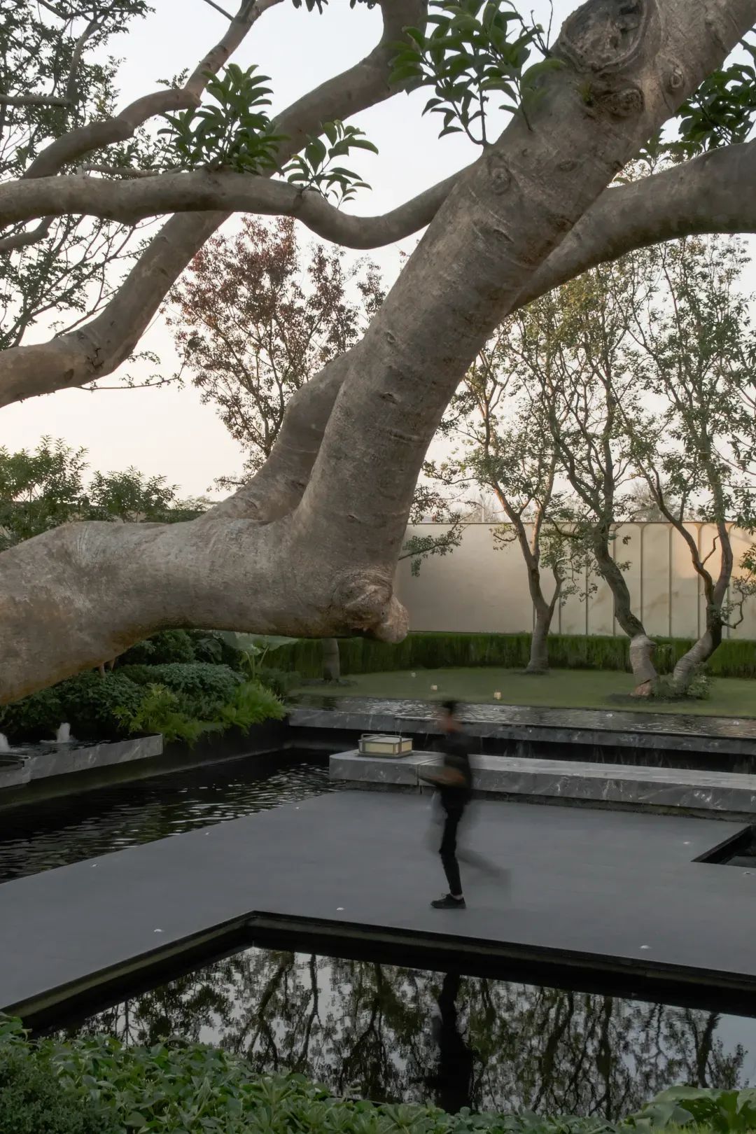 MAXI美溪丨度假森居，漂浮岛屿|深圳招商·雍境二期-19