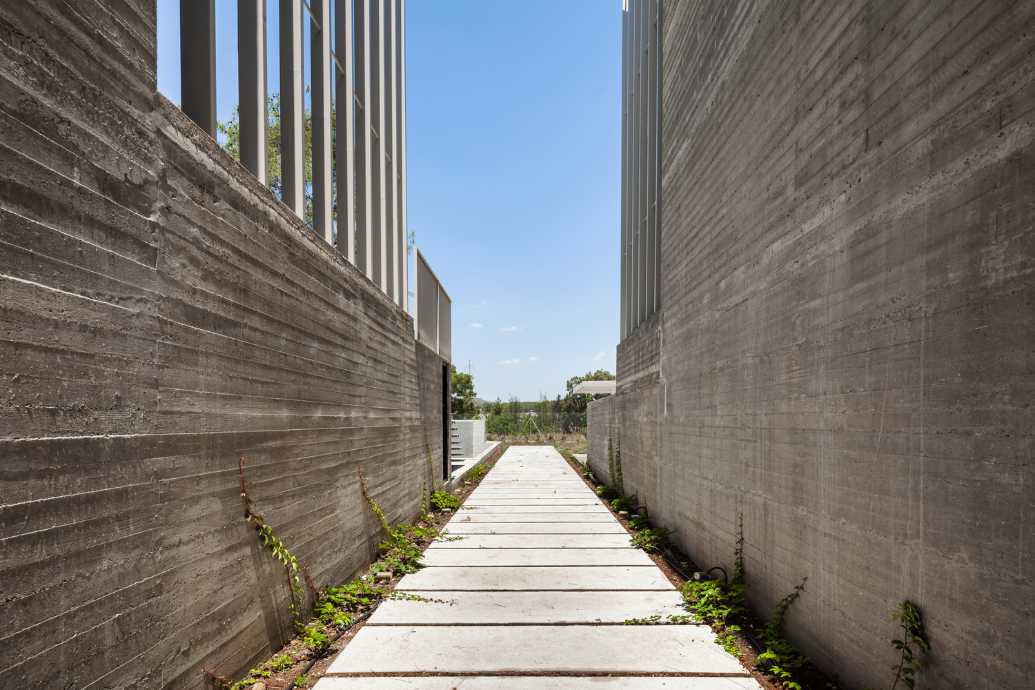 Cyprus 的 WELL 58 House丨Ekky Studio Architects LLC-35