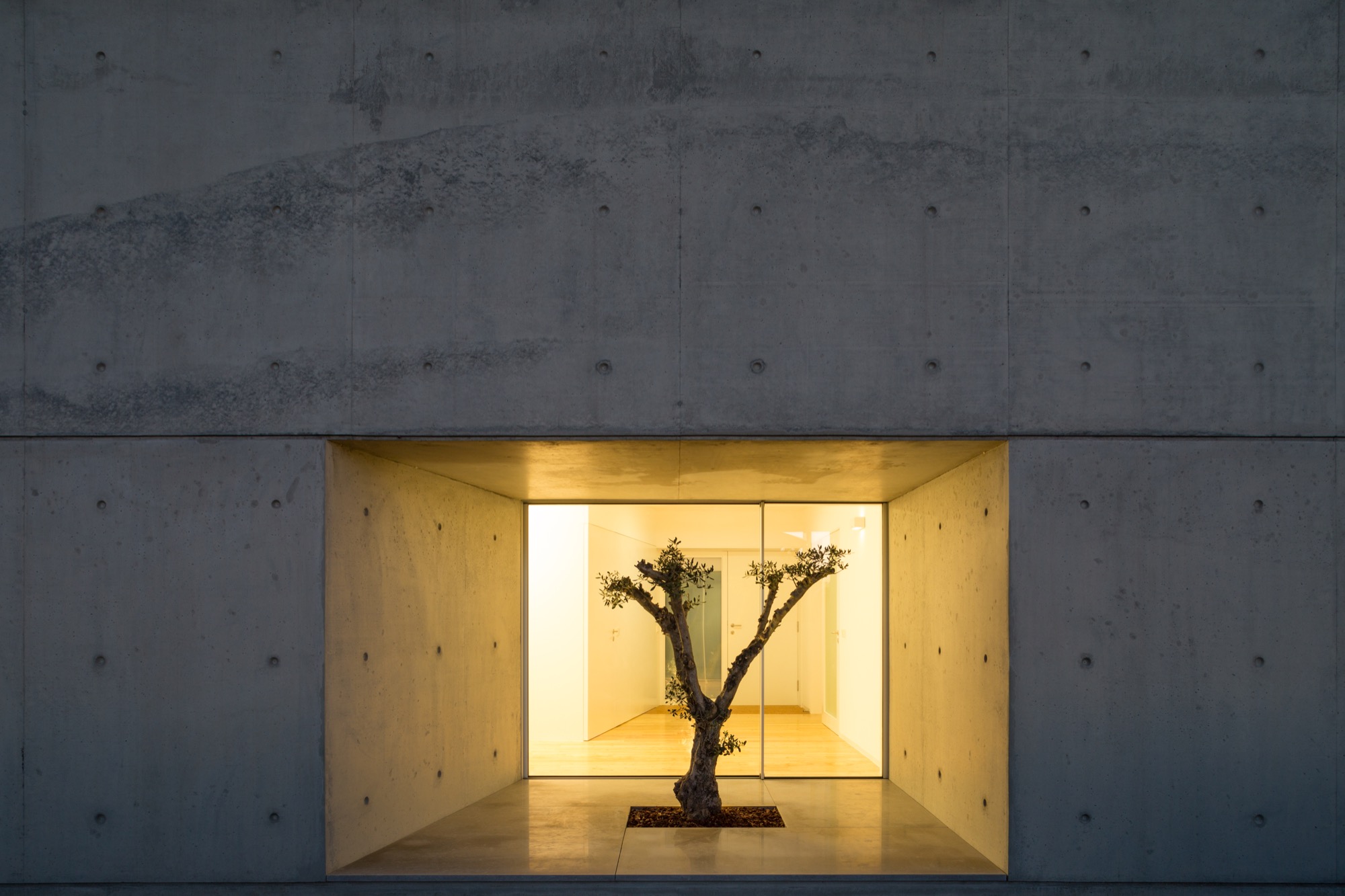 融入地形的葡萄牙私人住宅-0