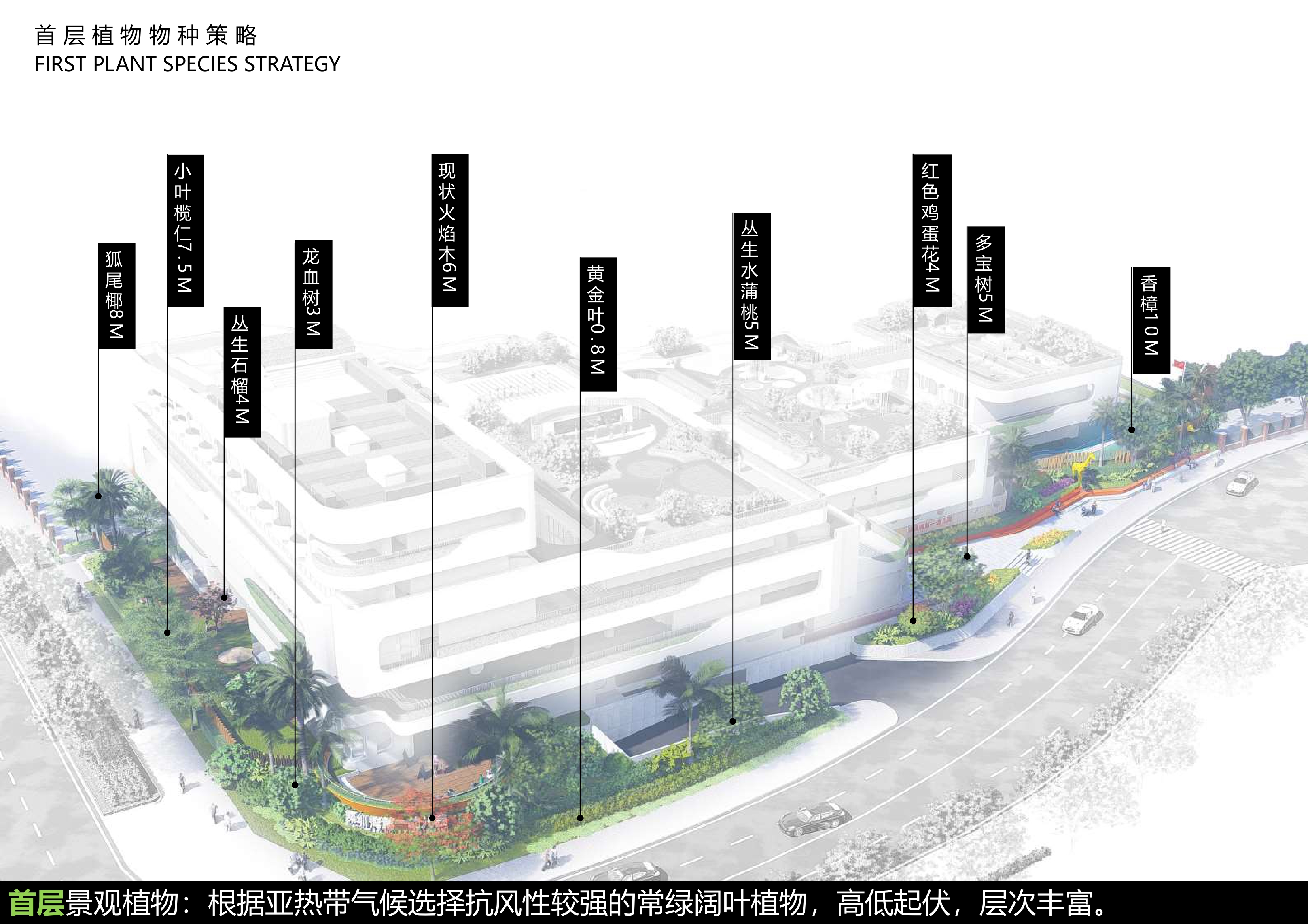 深圳湾第一幼儿园方案校园建筑方案文-5