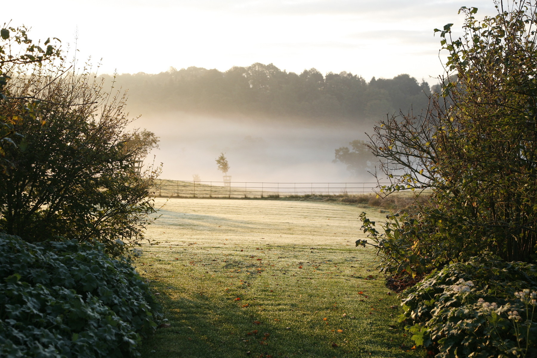 Brockhampton Cottages-7