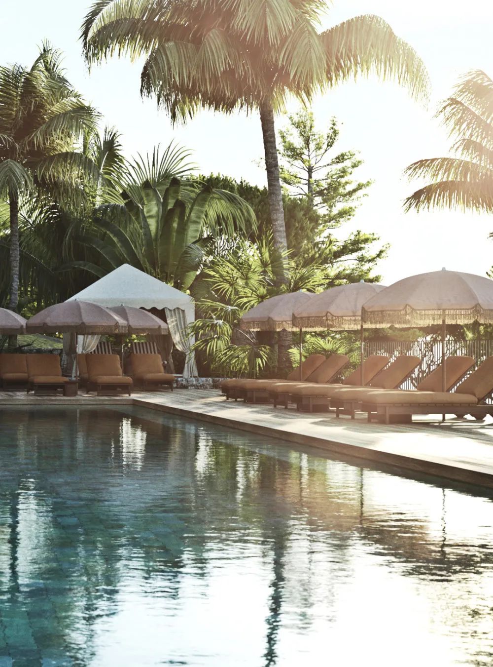 YAPA精品餐厅丨意大利米兰丨Lambs and Lions-118