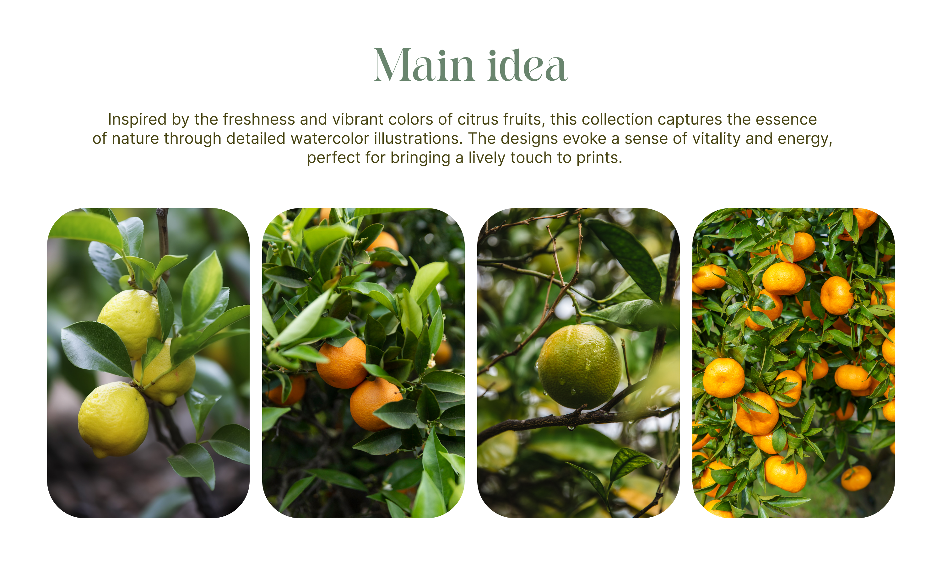 Seamless citrus pattern collection. Free print-1