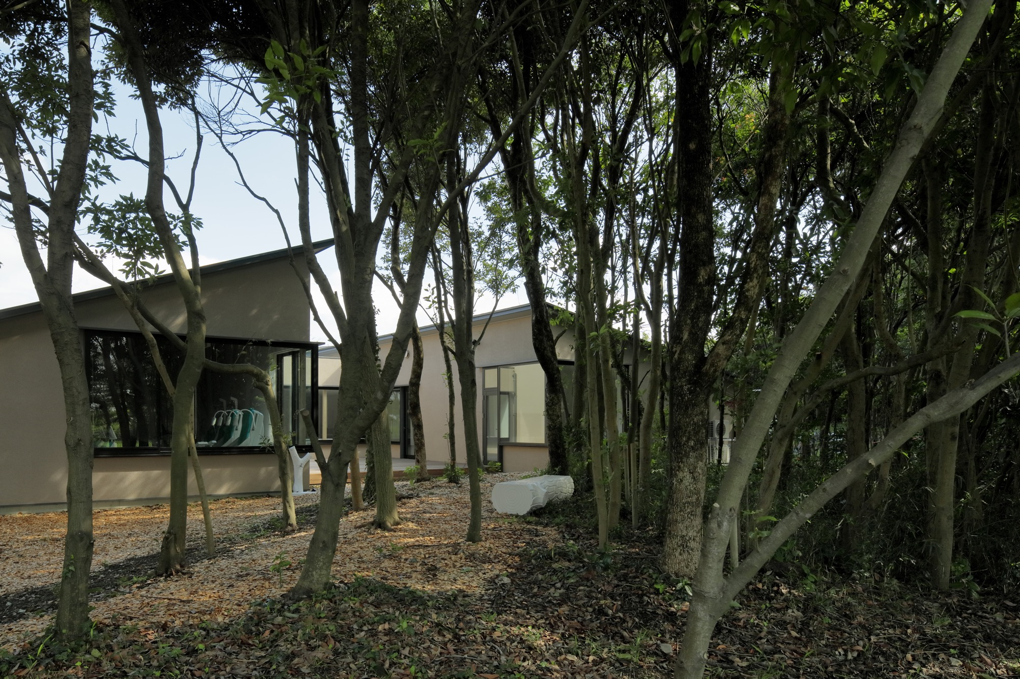 森のクリニック丨日本神奈川丨新素材研究所-0