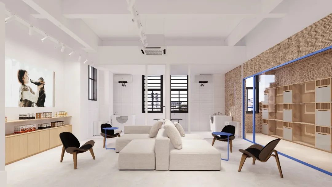 HS 新作 小猫一二只丨中国杭州丨绘狩-21