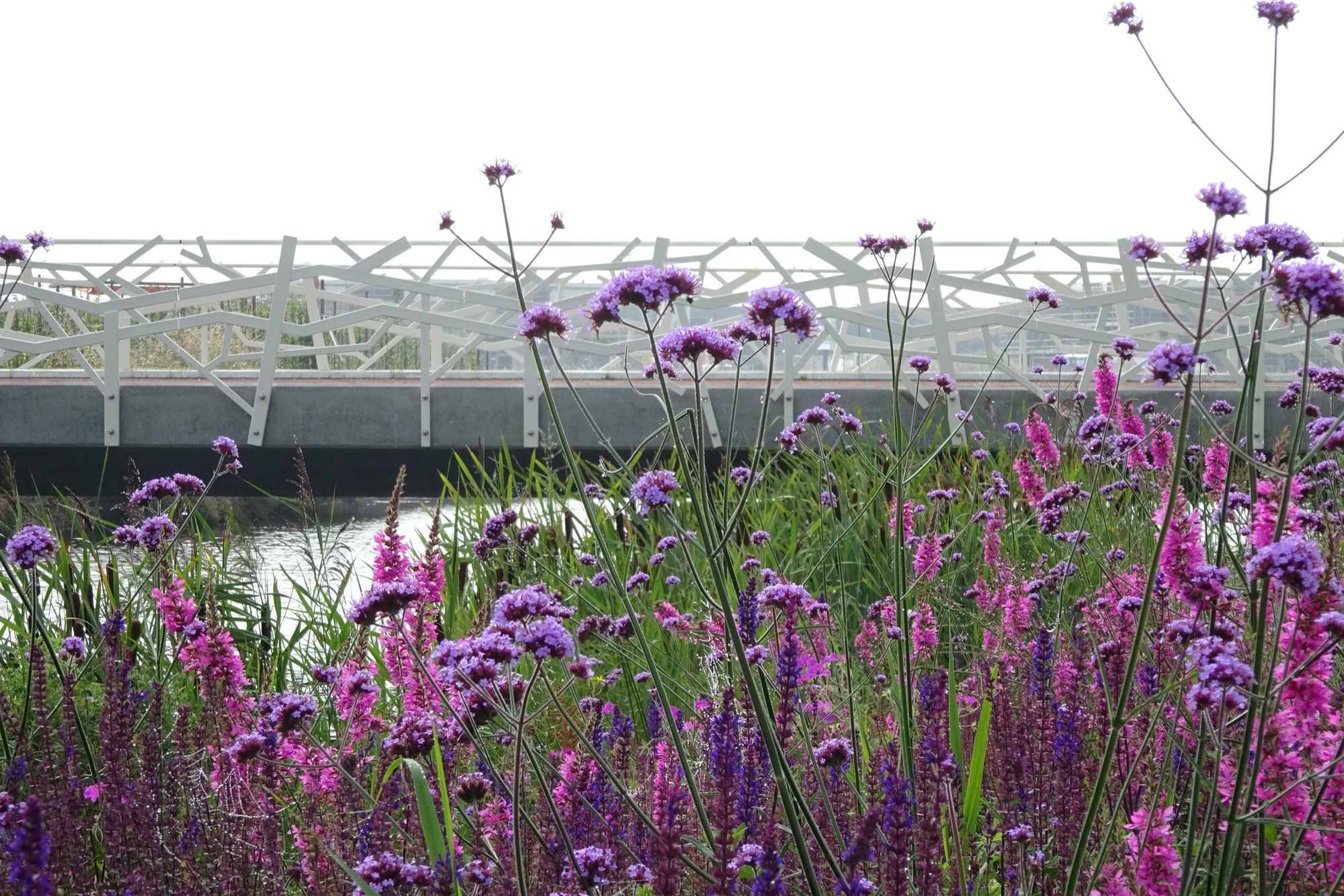 荷兰线性公园丨LOOSvanVLIET-0