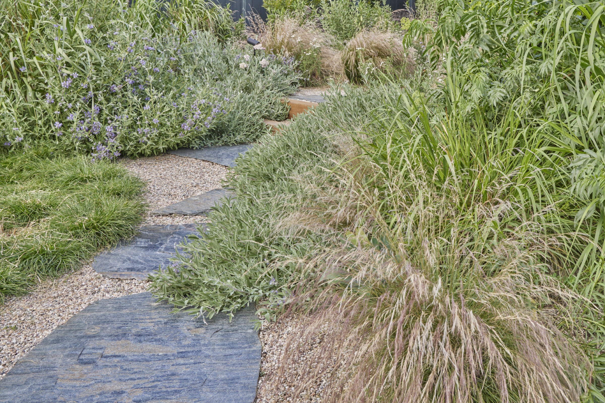 用时间酝酿，为孩子们创造的野趣花园丨美国丨TERREMOTO-15