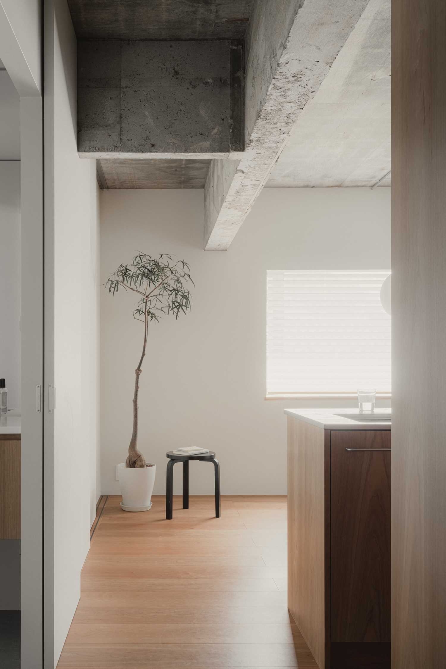 日本57㎡的公寓La Piedra House丨东京设计师平山健太-24