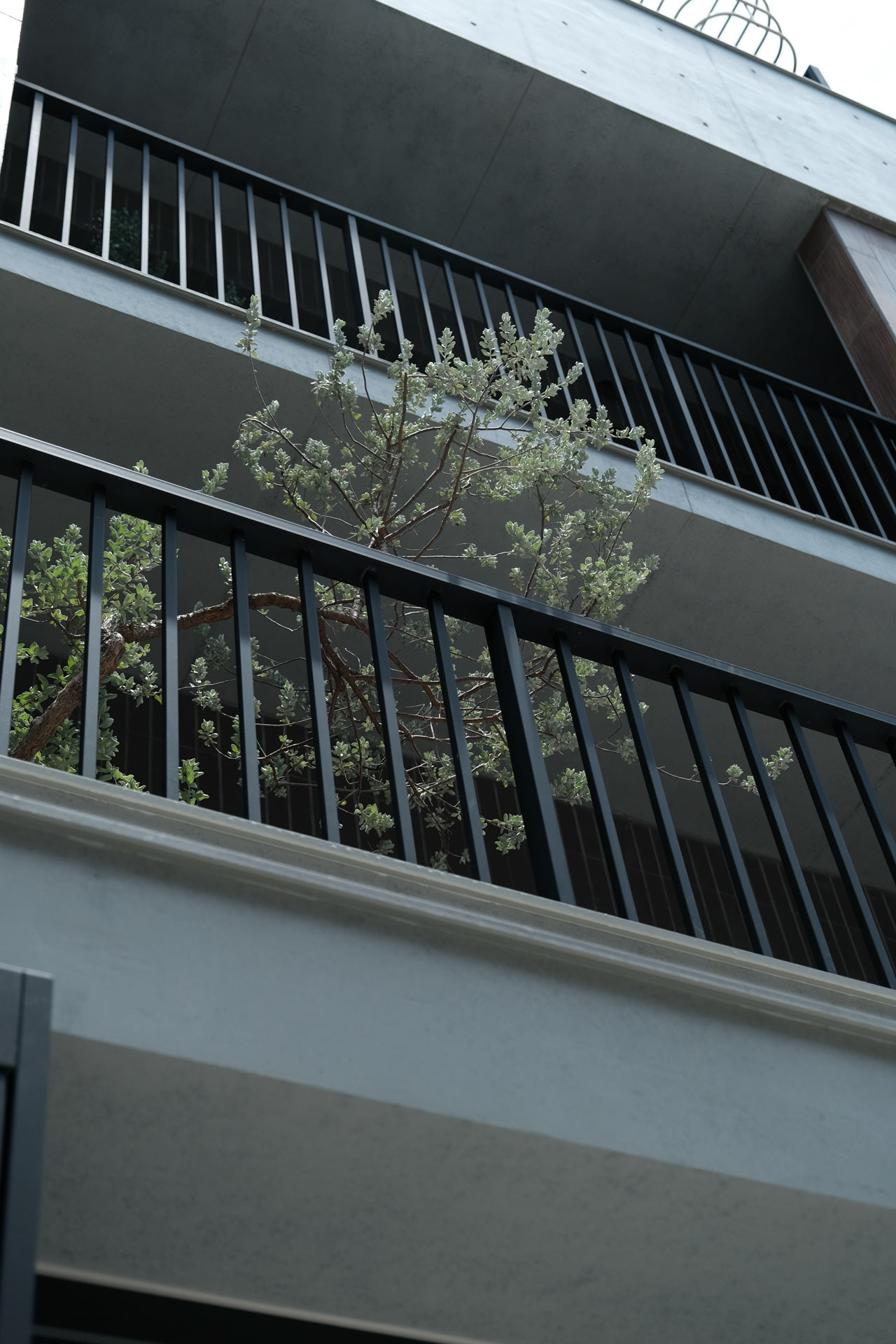 CornerGreen植角｜住家陽台植栽規劃・合輯-5