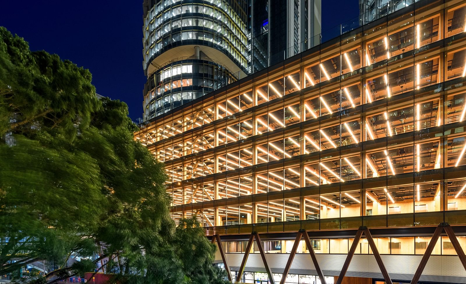 悉尼国际公寓丨澳大利亚悉尼丨Tzannes-1