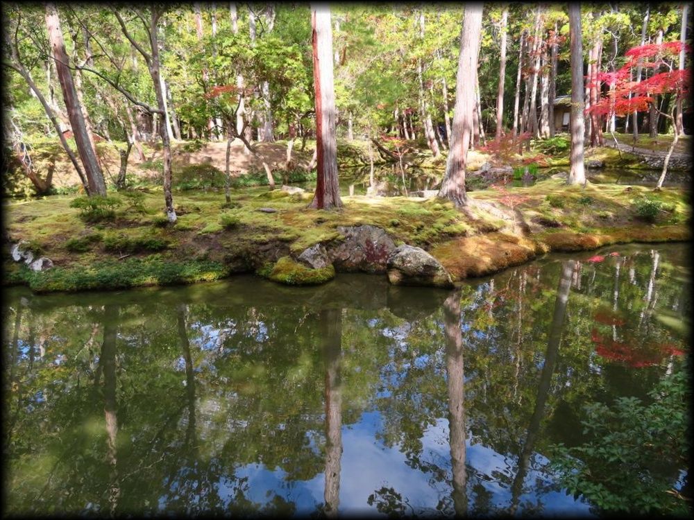 苔寺（西芳寺）的苔庭（黄金池,金刚池）丨日本京都丨梦窗疎石-28