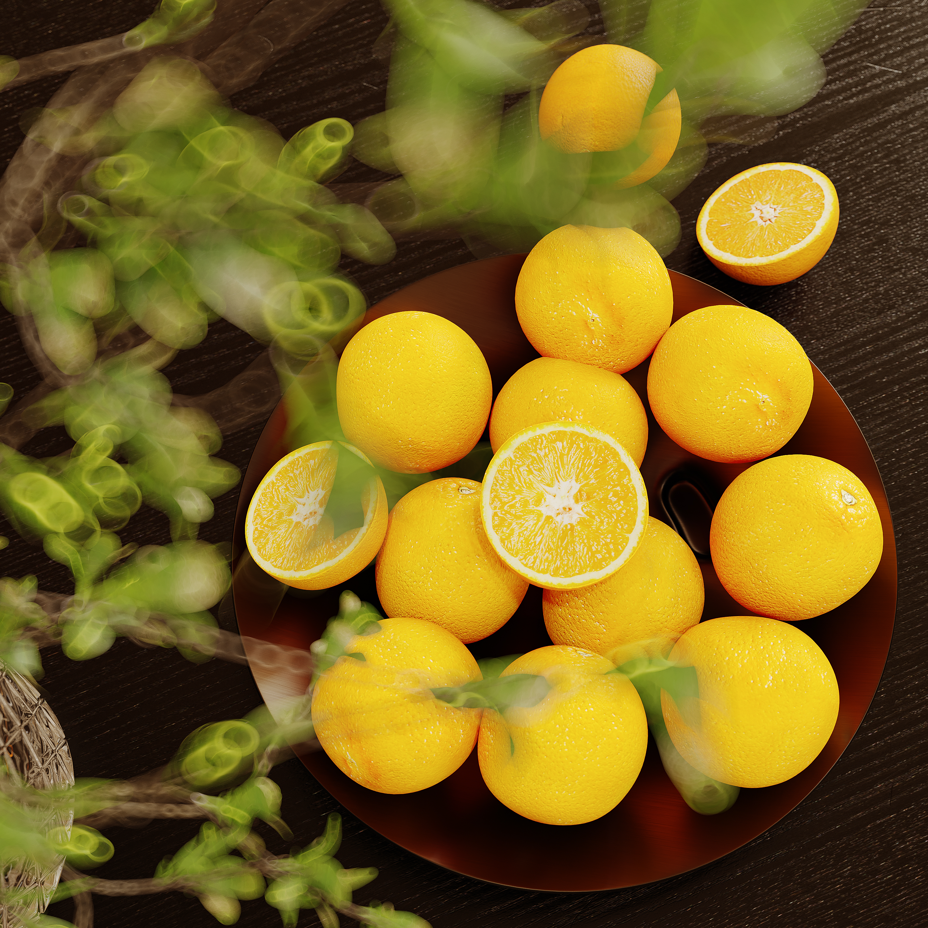 法国尼斯Becca家-1