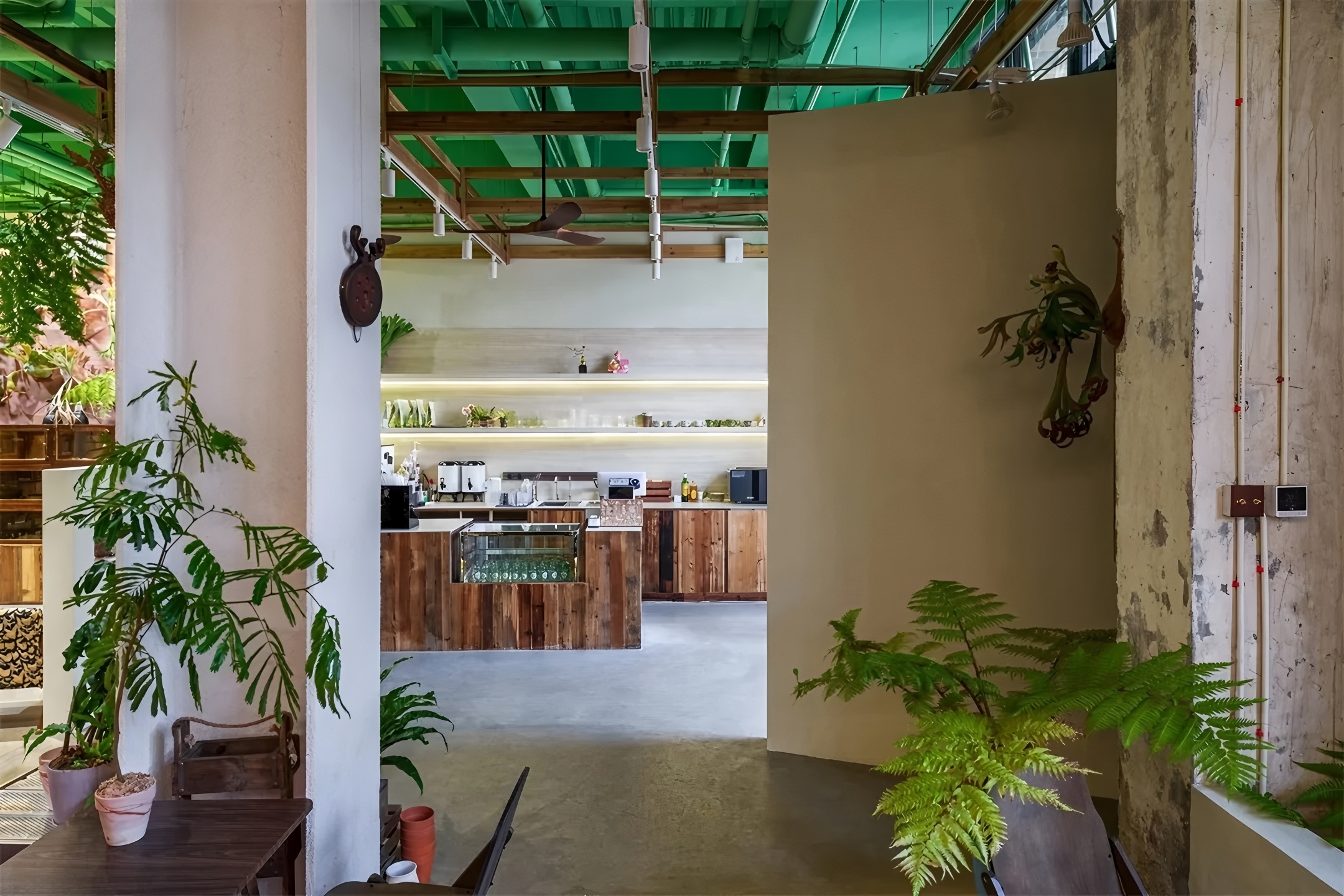 《绿觅 · 尾巴屋》西安宠物店丨中国西安丨陕西梁辰造物建筑设计-13