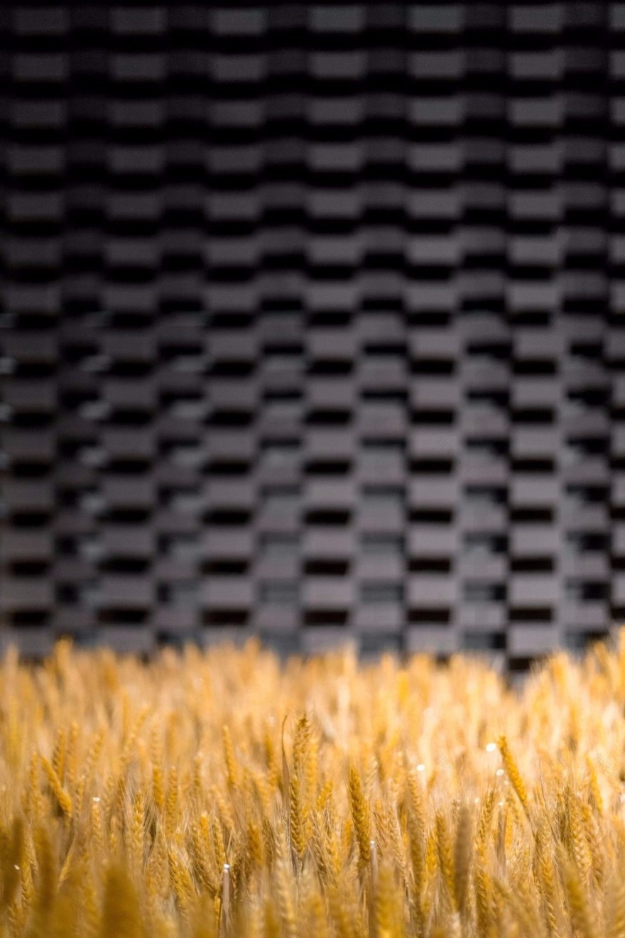 积粟社“粮仓”主题展示空间:72865个黑砖与9909个光盒子-23