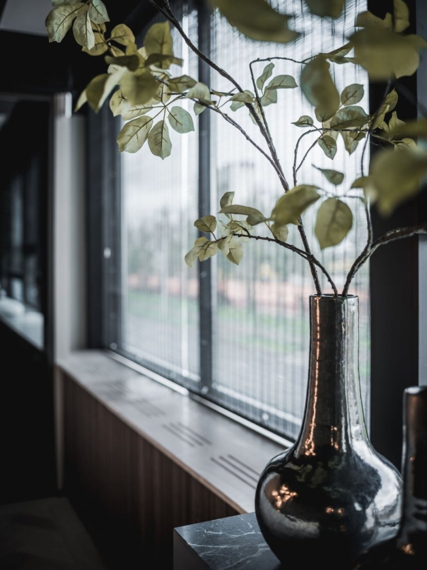 丨荷兰鹿特丹-25