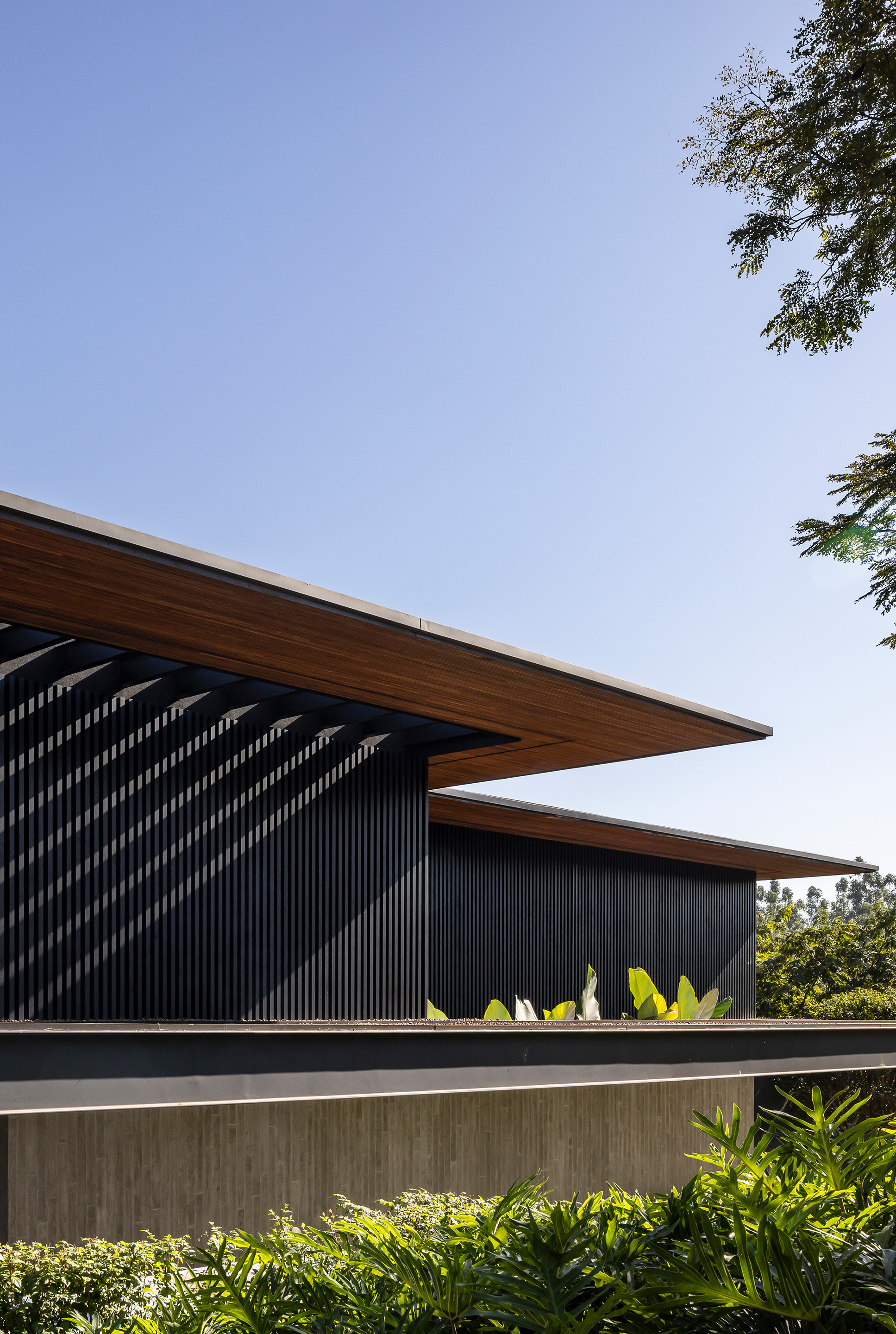 FD 住宅丨巴西圣保罗丨Padovani Arquitetos-11