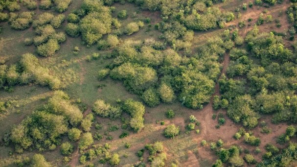 Rwanda Institute for Conservation Agriculture | MASS Design Group-82