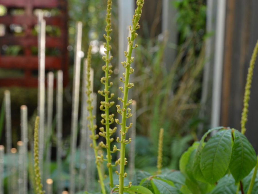 Eau de bonheur - Didier Danet - Entreprise Paysagiste-26