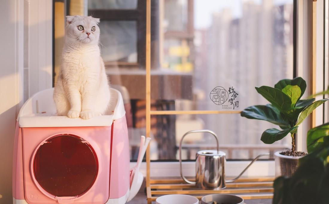 融合多种色彩的个性家居设计-74