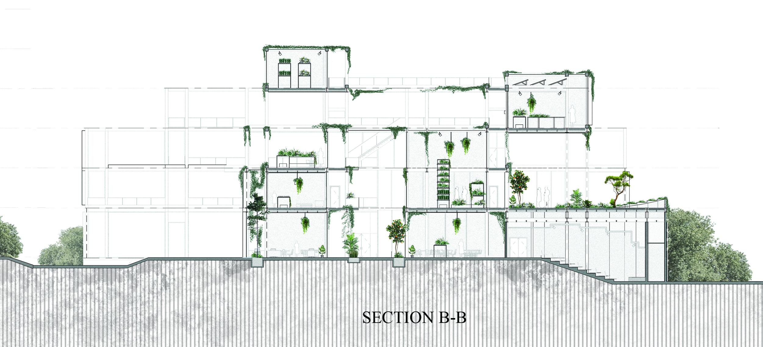 农业社区空间中心丨埃及亚历山大-13