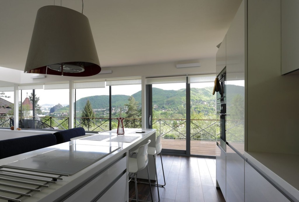 私人块状房屋项目（建在陡峭斜坡上）丨捷克丨3+1 architekti设计工作室-24