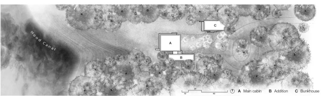 森林中的宁静隐居,对话自然之美-11