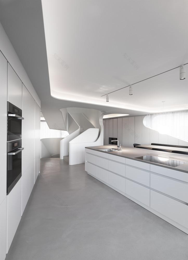 “巨头大鲨鱼”住宅 Ols House / J. Mayer H. Architects-17