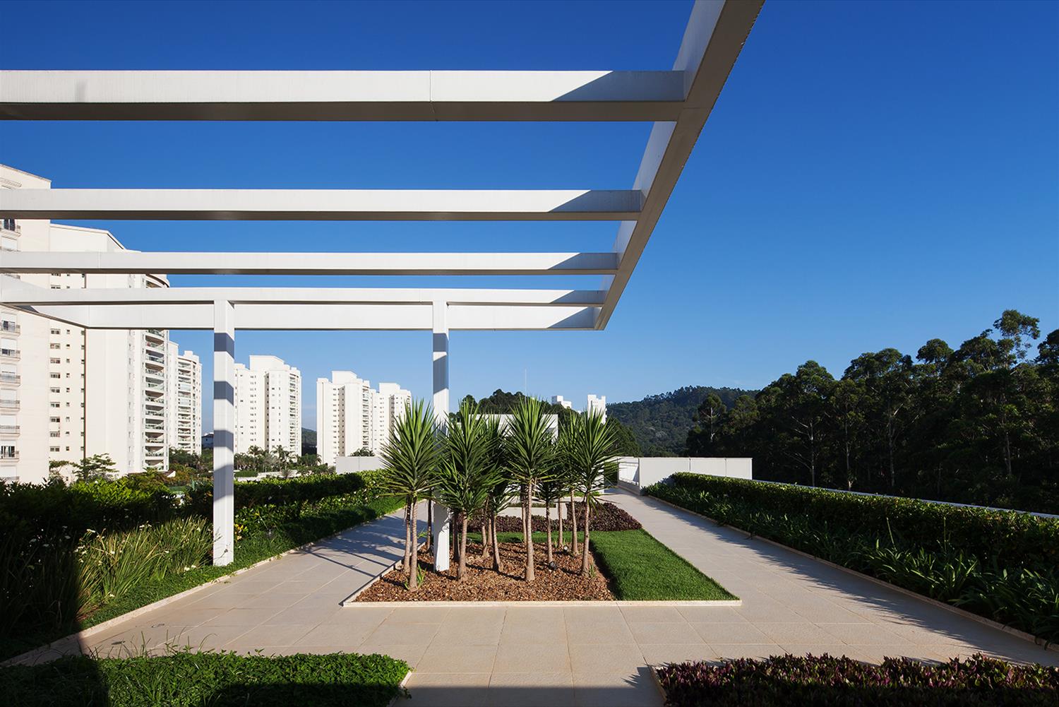 特里·坦博雷-13