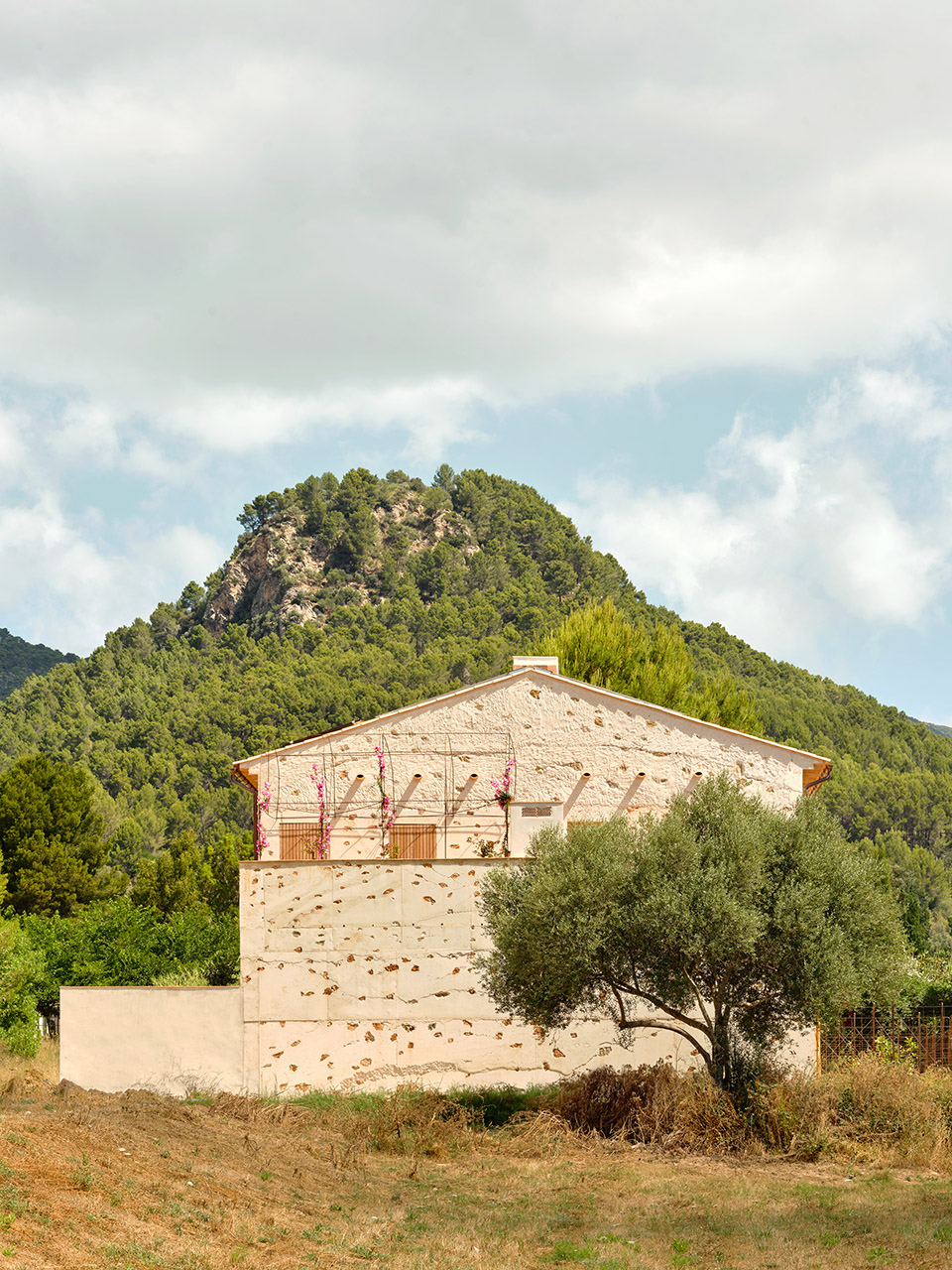 Ses Veles Puigpunyent住宅丨西班牙丨Alventosa Morell Arquitectes-4