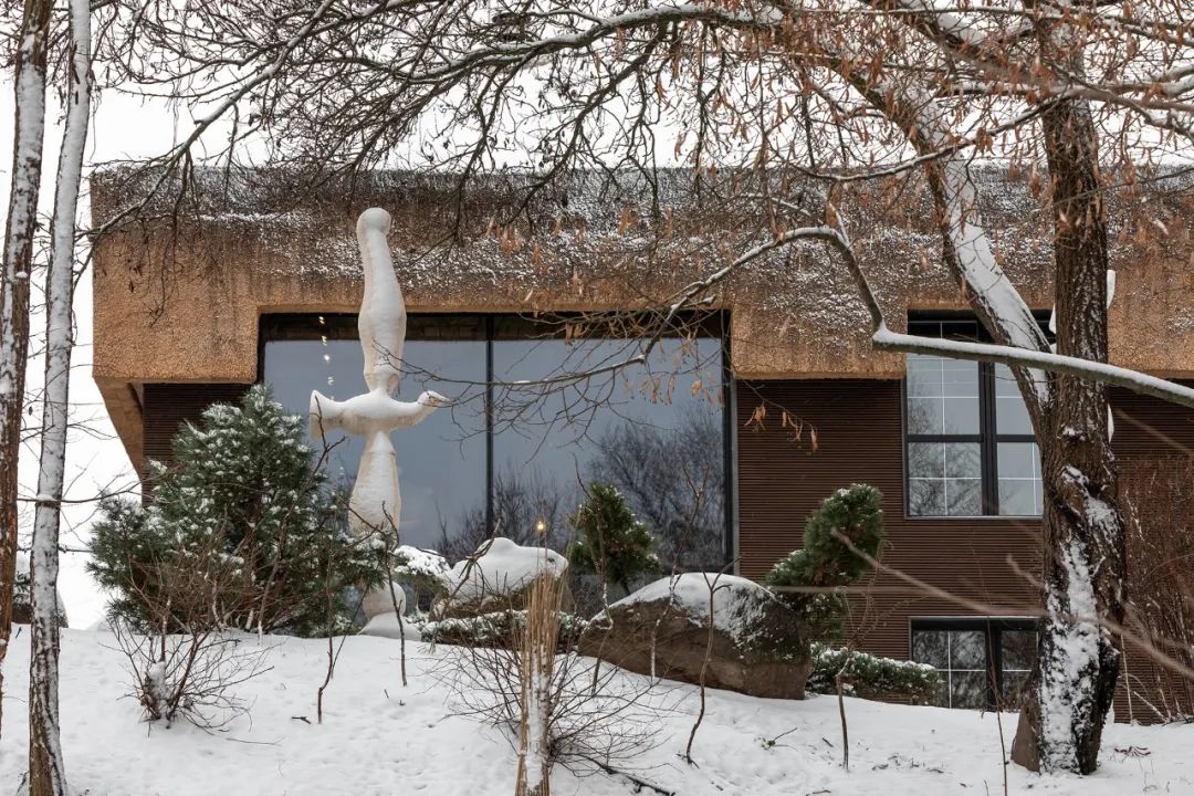 乌克兰 Shkrub 住宅丨Serhii Makhno-64