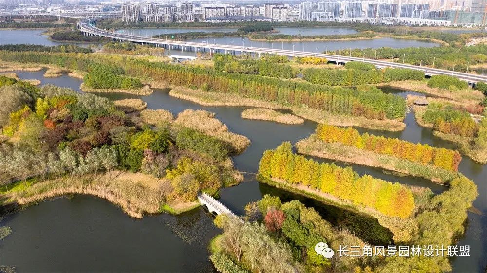 天堂的湿地,湿地的天堂-17