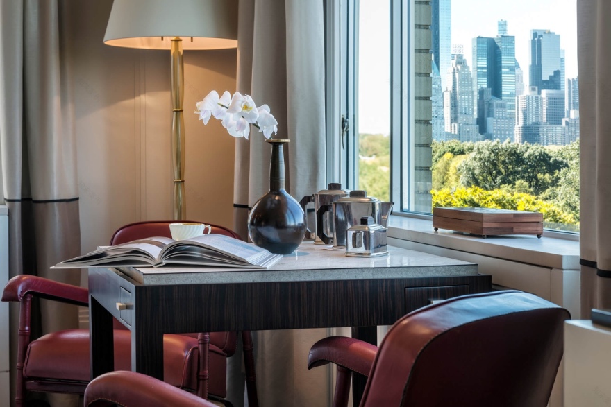 Achille Salvagni 作品:Central Park,与自然美景对话-9