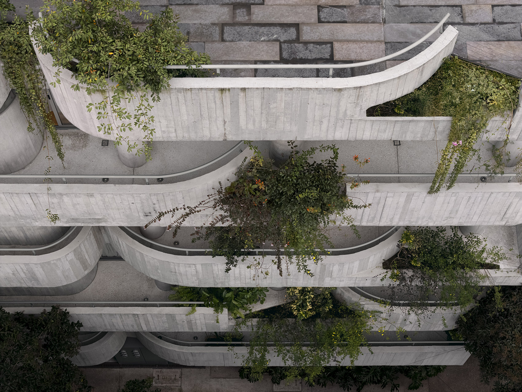 C294公寓丨墨西哥墨西哥城丨Michan Architecture-94