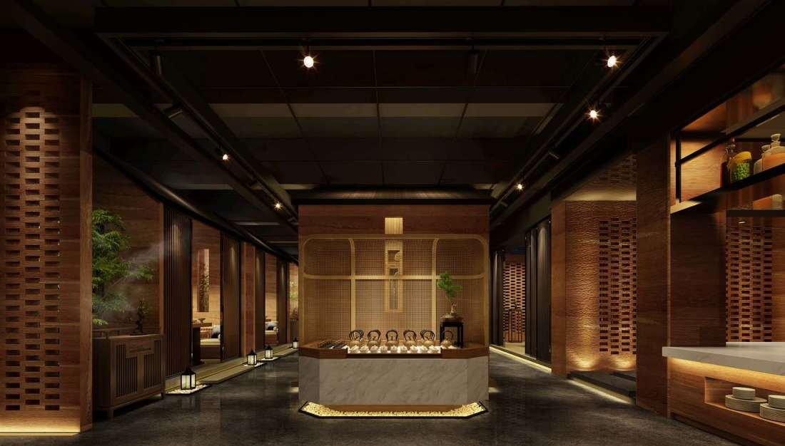 
森林野生菌王 -11